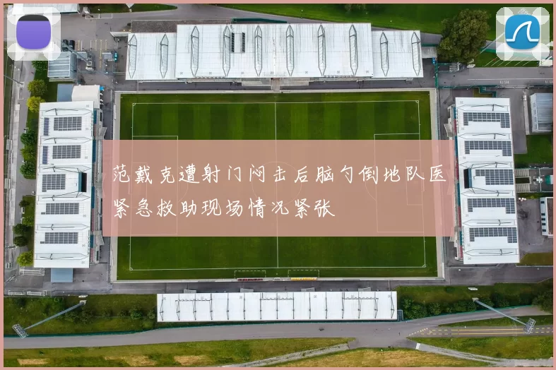 范戴克遭射门闷击后脑勺倒地队医紧急救助现场情况紧张