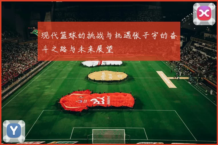 现代篮球的挑战与机遇张子宇的奋斗之路与未来展望