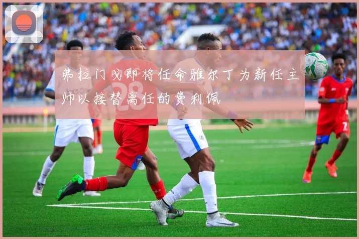 弗拉门戈即将任命雅尔丁为新任主帅以接替离任的费利佩