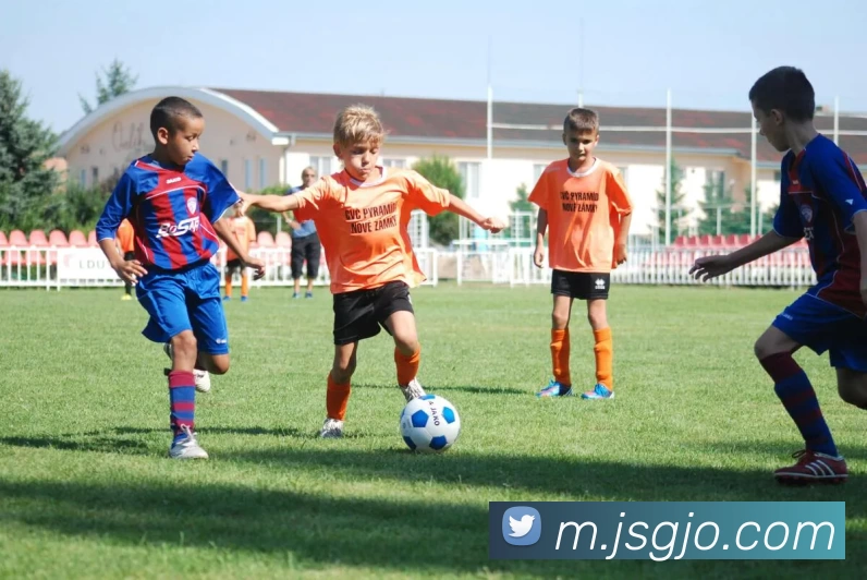 金沙国际发展历程